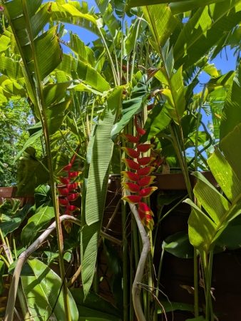 Kabane d'O — photo 24