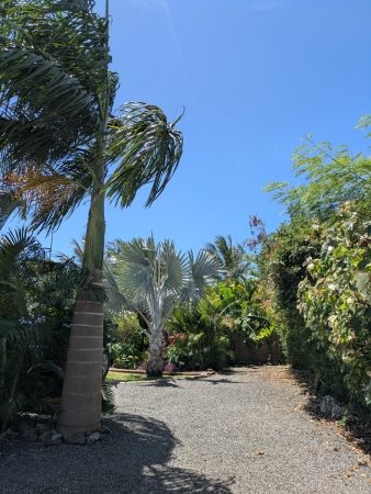 Kabane d'O — photo 25